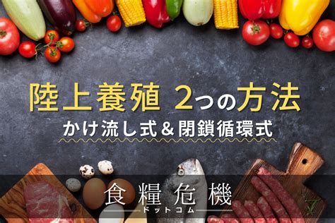 養殖方法|陸上養殖、2つの方法「かけ流し式」「閉鎖循環式」。